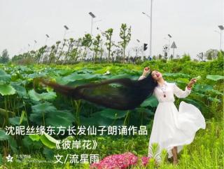 《彼岸花》文/流星雨 诵/沈昵东方长发仙子沈昵丝缘