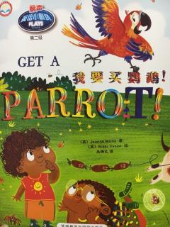 Get a parrot