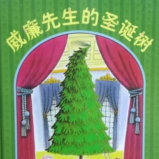 Lily老师讲故事——《威廉先生的圣诞树》