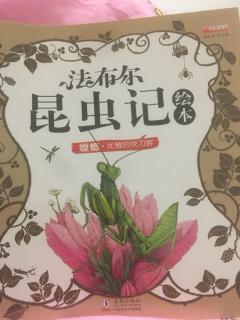 法布尔昆虫记之螳螂&蝗虫