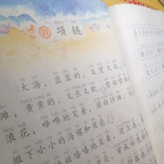 预习《项链》12月8日