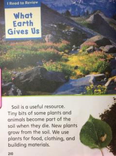 G2 Science C6L3 - I Read To Review-What Earth Gives Us