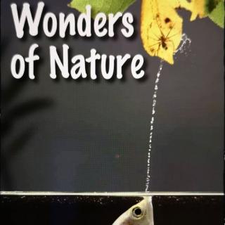 20181209 Wonders of Nature - RAZ O