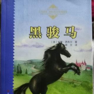 经典儿童文学推荐《黑骏马》