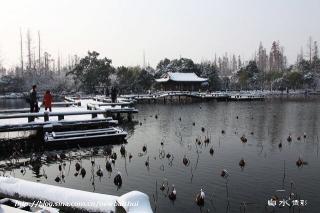 香叶子作品《 江南的雪 》罗兰朗诵