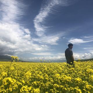 【录播】最好听的富士山下