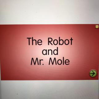 Dec9-Pansy17-The 🤖 and Mr.Mole 2️⃣