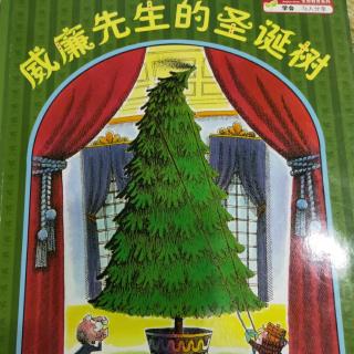 威廉先生的圣诞树🎄