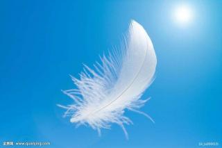 空中，飘着一片羽毛～杨可欣（来自FM52033014)