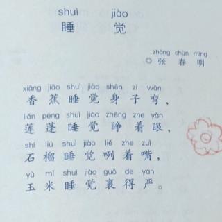 《睡觉》