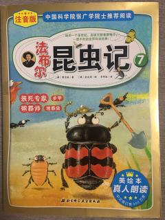 法布尔昆虫记7装死专家步甲-谁敢和我比试一下