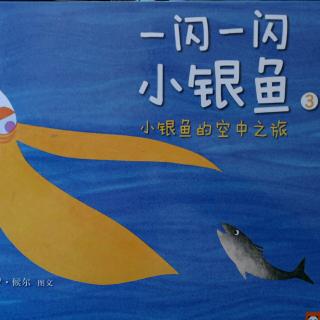《一闪一闪小银鱼3小银鱼🐟的空中之旅》