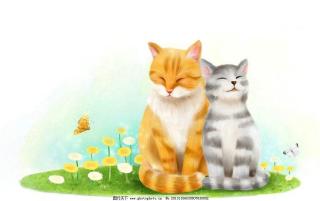 【金海教育】第四十八期微课堂《小猫和猫妈妈》