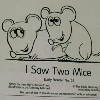 I Saw Two Mice