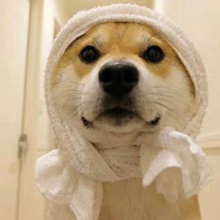 身体欠安祝你们安好