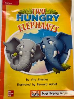 two hungry elephants～ Question？
