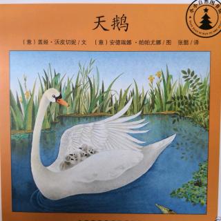 小小自然图书馆～天鹅