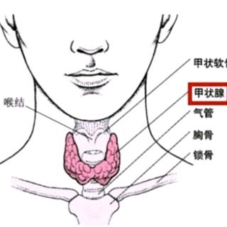 慢性淋巴细胞性甲状腺炎需与哪些疾病鉴别？