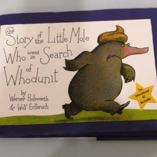 The Story of the Little Mole