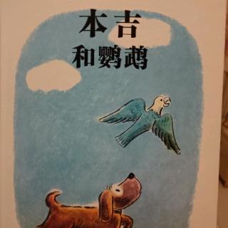 本吉和鹦鹉