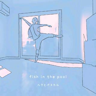 fish in the pool