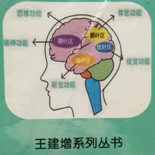 孩子的智力开发及教育环境因素五（三）