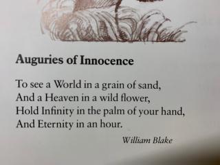 Auguries of Innocence By Willaim Blake