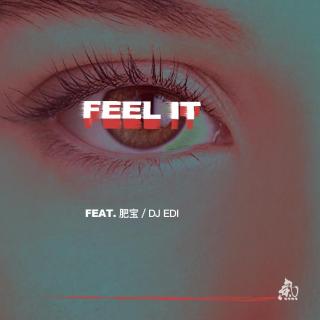 Feel It (feat.肥宝、DJ EDI) - 瘦恒SOULHAN/肥宝/DJ EDI