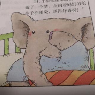 小象睡着了