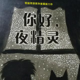 故事《你好，夜精灵》