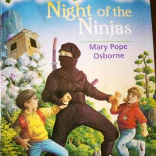 Night Of The Ninjas (6)