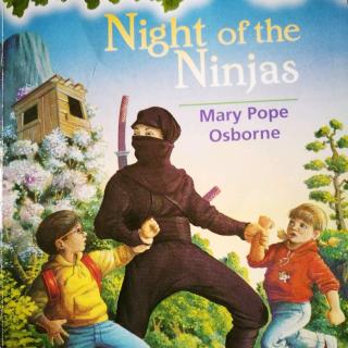 Night Of The Ninjas (7)