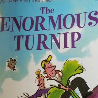 The ENORMOUS  TURNIP 