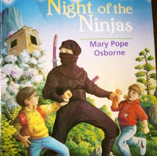 Night Of The Ninjas (8)