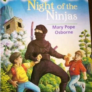 Night Of The Ninjas(9)