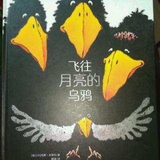 陈毅轩讲绘本故事《飞往月亮的乌鸦》