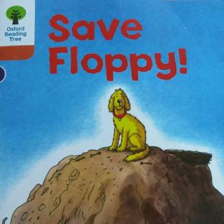 Save Floppy