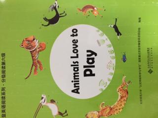 20181215 Animals Love  to Play