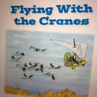 317 Flying with the Cranes