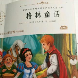 格林童话《青蛙公主》读者：王嘉锐
