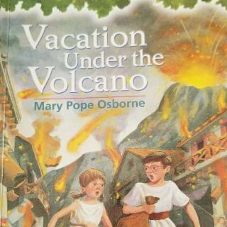 Vacation Under the Volcano 6