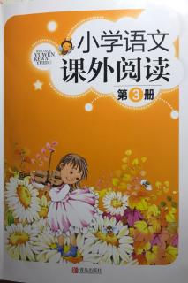 小学语文课外阅读3大鱼、小鱼和网