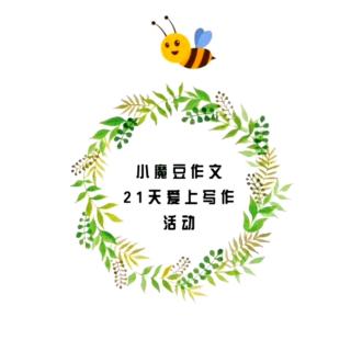 第18天 流水账病怎么治？