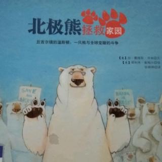 北极熊拯救家园b613-3
