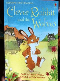 20181216Clever rabbit and the wolves