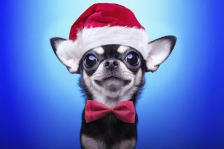 【奇怪的事】在线收听_袁博煊_荔枝