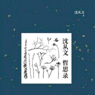 从现实中学习2—《沈从文哲思录》