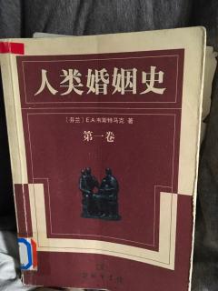 图书馆闭馆时间玩游戏 04 人类婚姻史