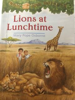 20181216 Lions at lunchtime 8.