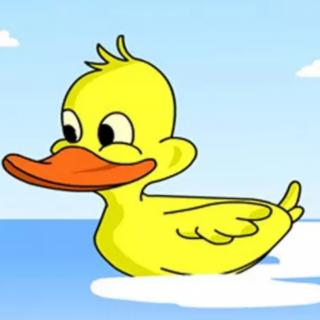 小小鸭子学游泳